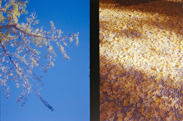 【全国送料無料】レトロフィルムカメラ オリンパス PEN EE-2 Lemon Tea【安心3点セット】 7枚目の画像