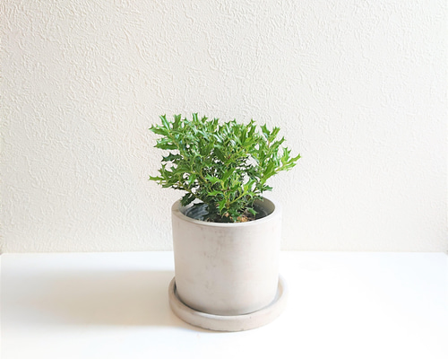 970bb49abe28d35b0d8ee261daaa58