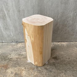 ヒノキの切り株の置物 (４面カット太鼓挽き) スツール 丸太椅子  オブジェ フラワーディスプレイ サイドテーブル 3枚目の画像