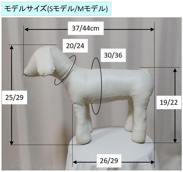 ワンちゃんモデルのサイズ紹介 1枚目の画像