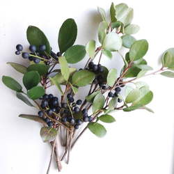 シャリンバイの実（ﾄﾞﾗｲﾌﾗﾜｰ） ドライフラワー nyao-mery 通販