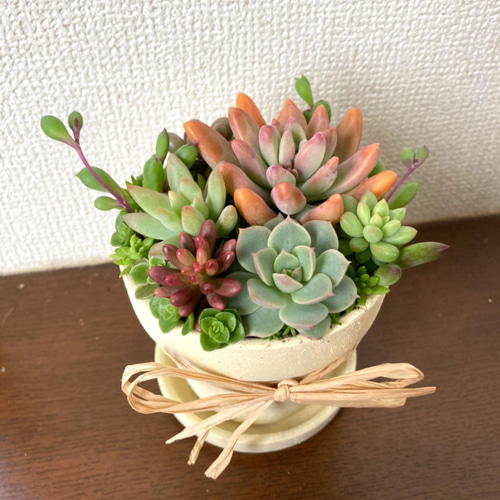 sold素焼き鉢リメイク 多肉植物寄せ植え その他インテリア雑貨