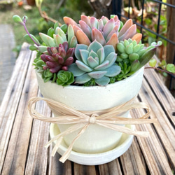 sold素焼き鉢リメイク 多肉植物寄せ植え その他インテリア雑貨