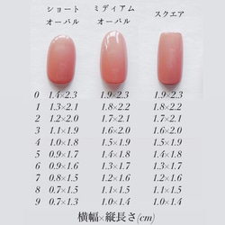 N-1 ネイルチップ 2枚目の画像