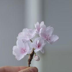 ひとえだ 桜 春 の 布花 ブローチ (入学式にも！) 11枚目の画像