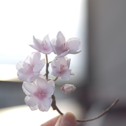 ひとえだ 桜 春 の 布花 ブローチ (入学式にも！) 3枚目の画像