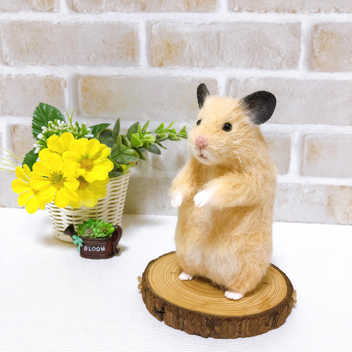 13cm *キンクマハムスター* ゴールデン・シリアン <羊毛フェルト> 羊毛