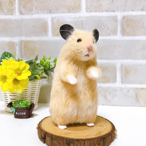 N　（羊毛フェルト　ハムスター） 羊毛フェルト キンクマさん 羊毛フェルト takasi75 通販 12810747