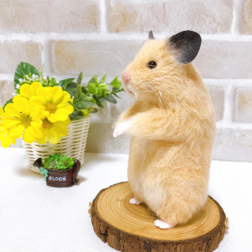 13cm *キンクマハムスター* ゴールデン・シリアン <羊毛フェルト> 羊毛