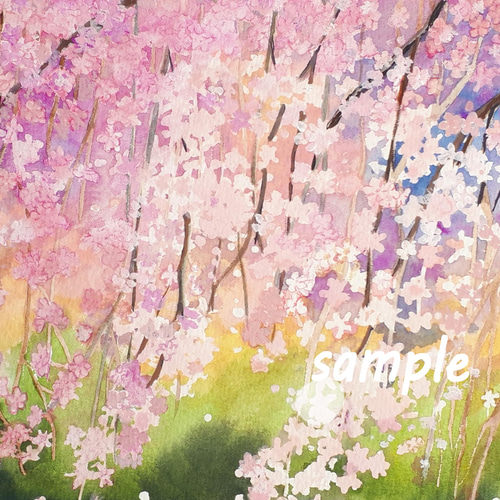 しだれ桜 水彩原画 絵画 チェリー Cherry 通販 13160139|Creema しだれ桜 水彩原画 絵画 チェリー Cherry 通販 13160139|Creema