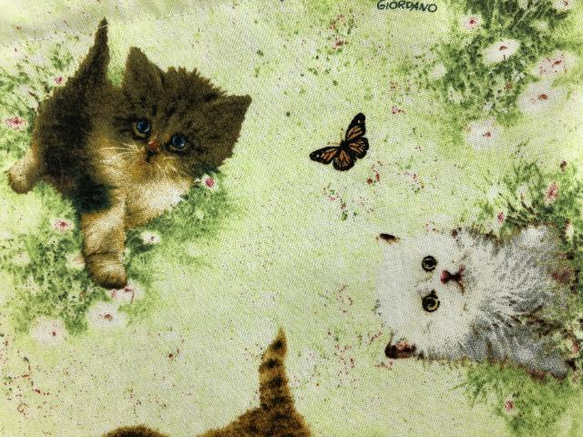 猫 インポート  デザイナーズ  巾着  28cm×23cm　仔猫 5枚目の画像