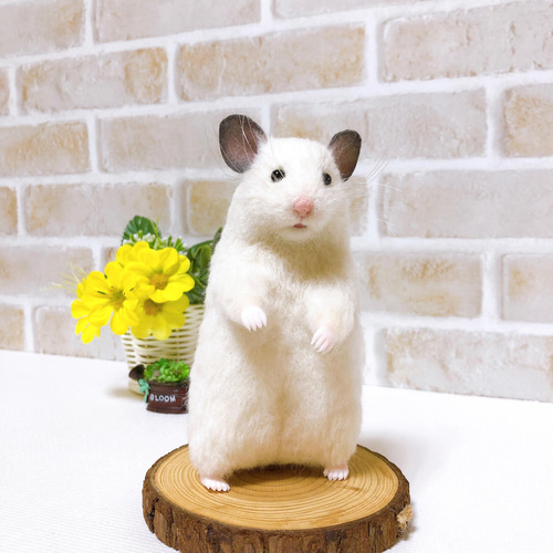 シロクマさん♪ *ホワイトハムスター* ゴールデン・シリアン <羊毛