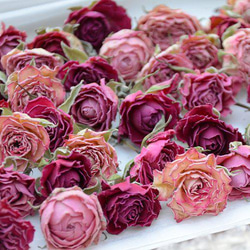 ドライフラワー❇️ミニバラ❣️訳あり 訳ありドライフラワー- 手作り雑貨屋 * 雑貨好きによる雑貨好きのため