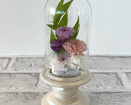 56466ee382be8e778348caea6945c2