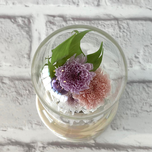 仏花 ガラスドーム（菊） ベット用にも creema限定 プリザーブド