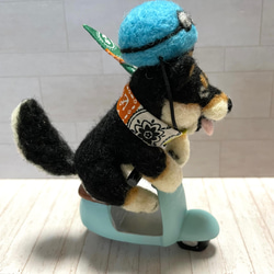 スクーターでおでかけ柴犬ちゃん(黒柴)羊毛フェルト 3枚目の画像