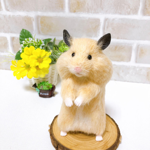 P ハムスター 羊毛フェルト 羊毛フェルト】キンクマハムスターを作る／Needle felting - YouTube