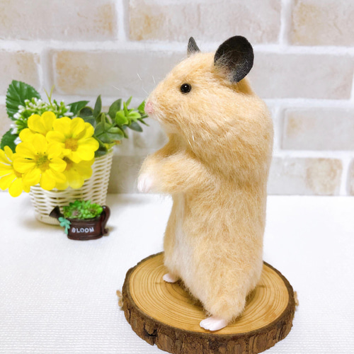 羊毛フェルト　ハムちゃん キンハム 子ハム　ほっぺぷっくり 羊毛フェルト ハムちゃん キンハム 子ハム ほっぺぷっくり - メルカリ