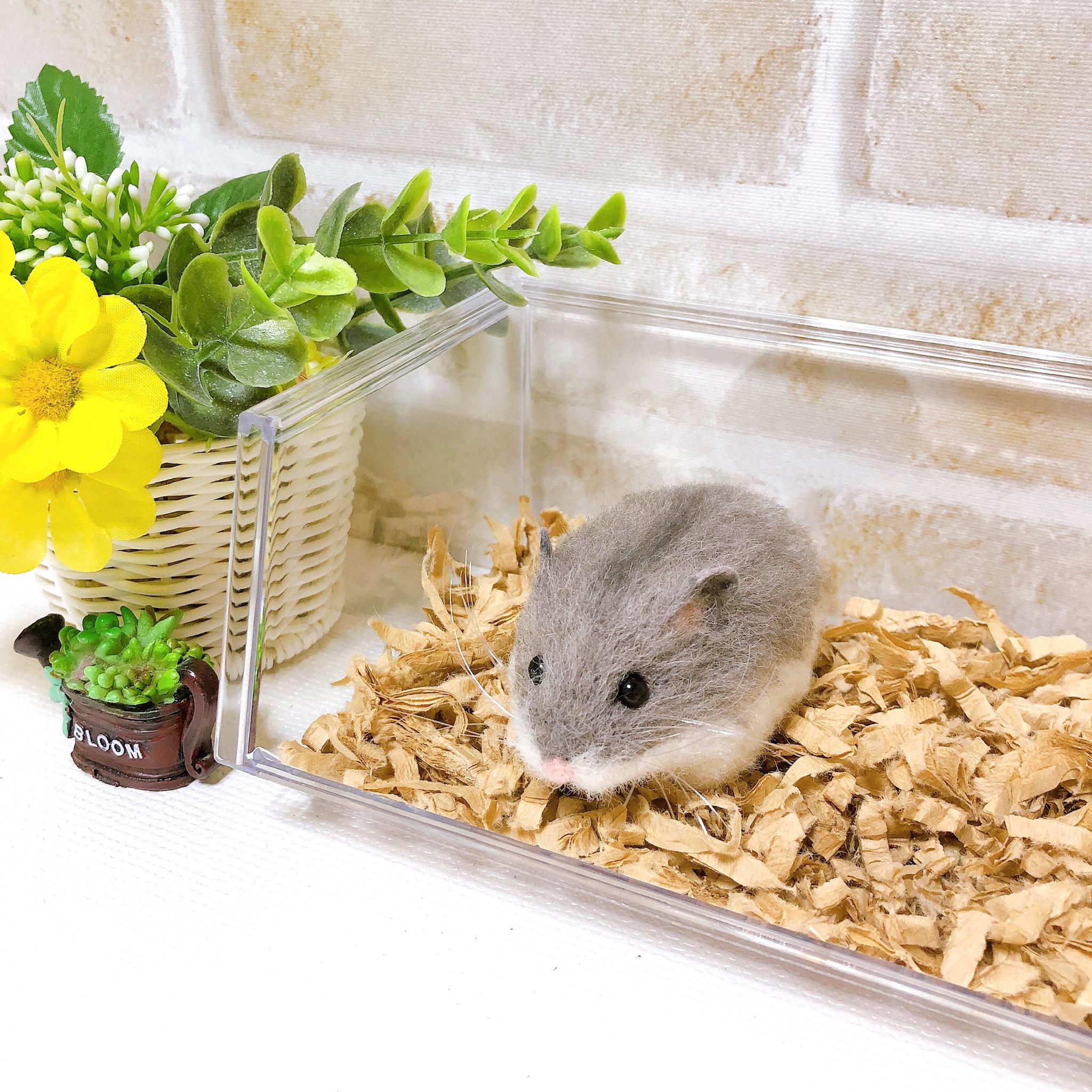 濃いめ*ブルーサファイア* ジャンガリアンハムスター <羊毛フェルト