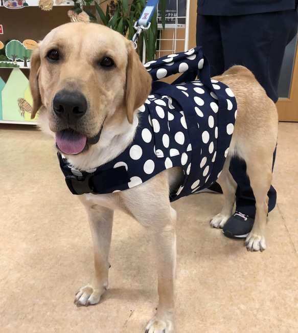 mi mi 様 大型犬ハーネス⭐️オーダー⭐️ ペット服・アクセサリー 