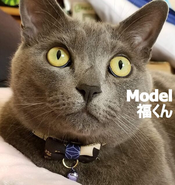 Hyokkori Neko-chan 日式絲帶 * 貓項圈 第7張的照片