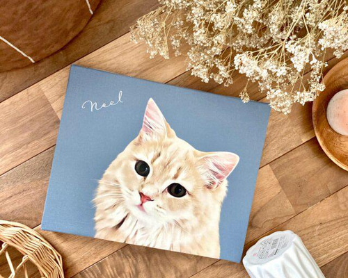 41fc03614dce235cda838a2d001754