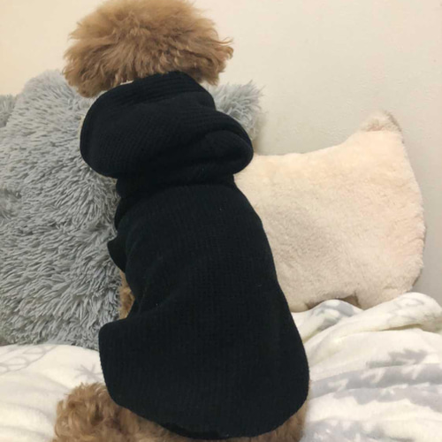 犬服ハンドメイドリボンボアワンピパーカーイニシャル入り