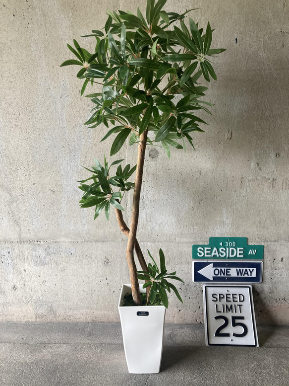 光触媒　人工観葉植物　ウォールグリーン　フェイクグリーン　シェフレア123t'P 光触媒 人工観葉植物 ウォールグリーン フェイクグリーン