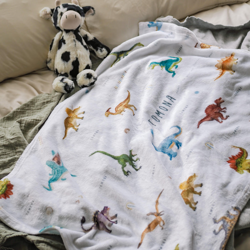 やわふわ 恐竜柄名入れ ブランケット ＜DINO＞通年用 | 雑貨・その他