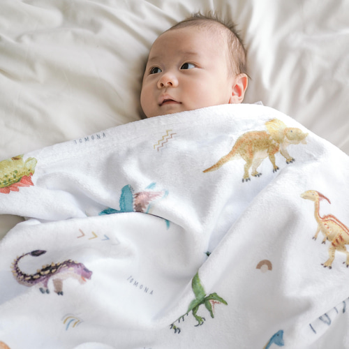 やわふわ 恐竜柄名入れ ブランケット ＜DINO＞通年用 | 雑貨