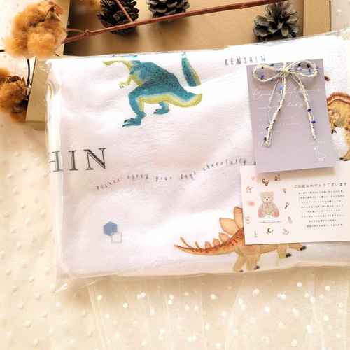 やわふわ 恐竜柄名入れ ブランケット ＜DINO＞通年用 | 雑貨・その他