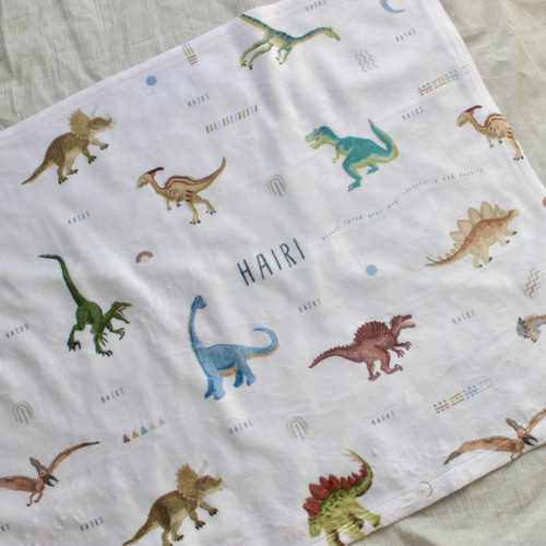やわふわ 恐竜柄名入れ ブランケット ＜DINO＞通年用 | 雑貨