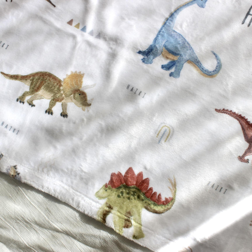 やわふわ 恐竜柄名入れ ブランケット ＜DINO＞通年用 | 雑貨・その他