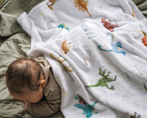 ●111.カラフル恐竜　ブランケット ブランケット 動物 きょうりゅう 70x100cm フランネル 裏ボア （ 毛布