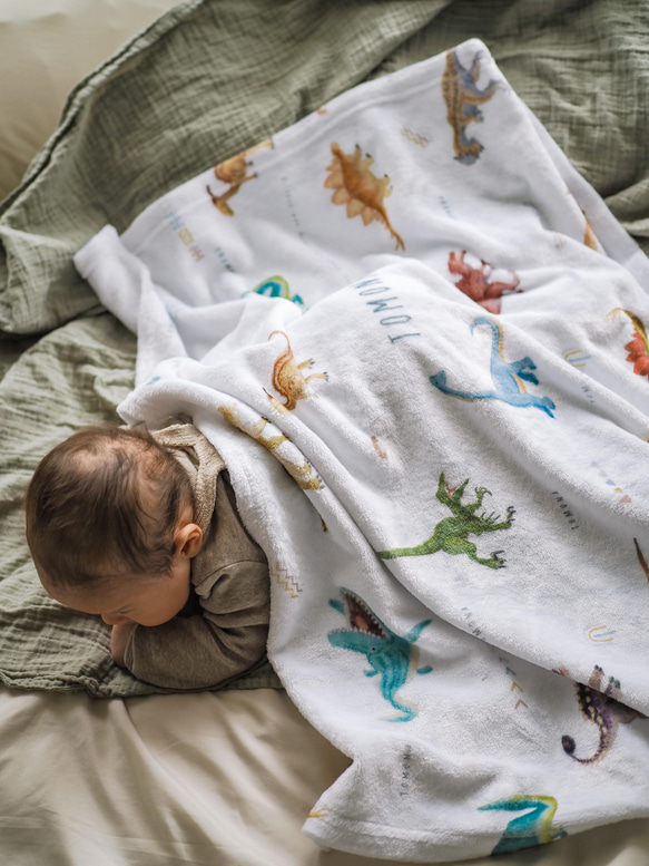 やわふわ 恐竜柄名入れ ブランケット ＜DINO＞通年用 | 雑貨・その他