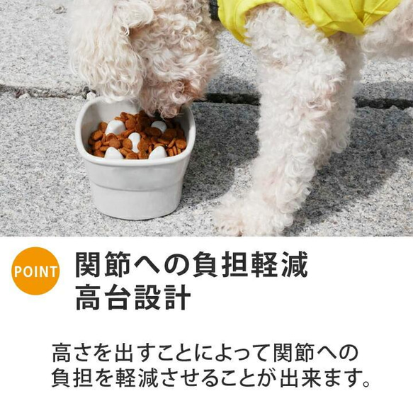 【送料無料】早食い防止 高台カラーフードボウル 【中】 全10色 pet110 6枚目の画像