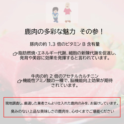 【桜問屋の極上鹿肉(シンタマ／お試しサイズ)】　関西三つ星シェフ推薦　（ワンポイント料理ガイド付／240~340g） 8枚目の画像