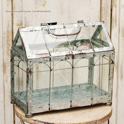 ガーデニング ガラステラリウム アンティーク　ショーディスプレイ ガーデニング ガラステラリウム アンティーク ショーディスプレイ