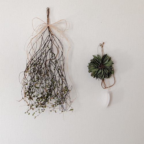 ユーカリ ミルフィーユ リース ワイヤープランツ スワッグ ドライ  