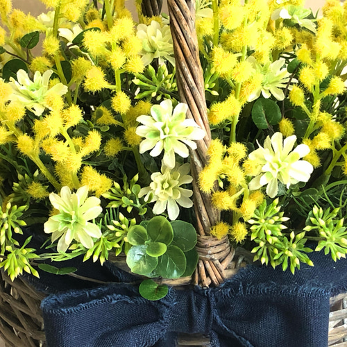 毎年楽しめる 花 ミモザ バスケットかごアレンジ Lサイズ 卒業入学祝い