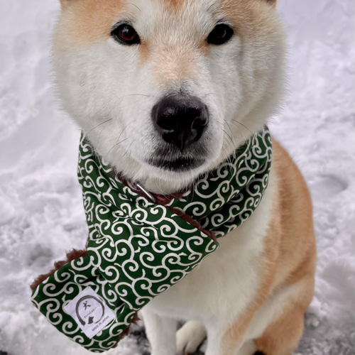 犬用 名前入り マフラー 犬用 名前入り マフラー