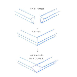  第6張的照片