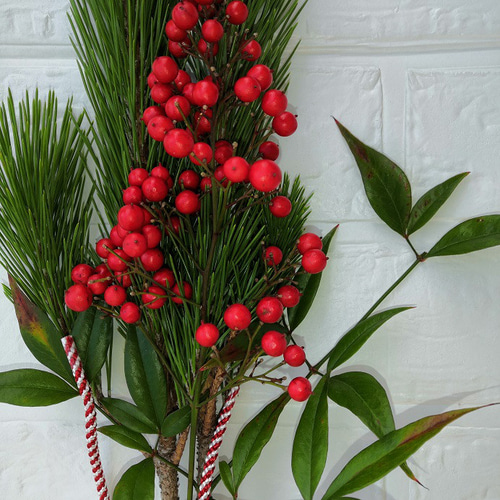 予約中】若松と南天のスワッグ 正月飾り シンプル 天然素材 縁起もの