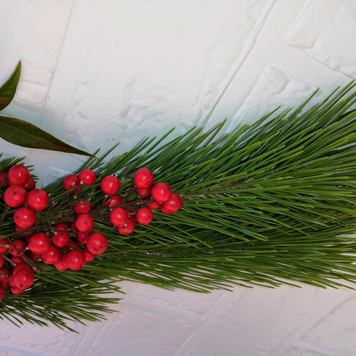 予約中】若松と南天のスワッグ 正月飾り シンプル 天然素材 縁起もの