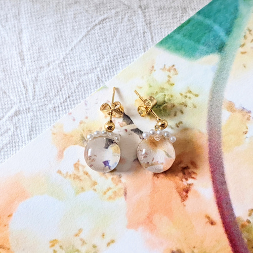 写真のピアス/イヤリング キウイフルーツの花×パール ピアス（スタッド 