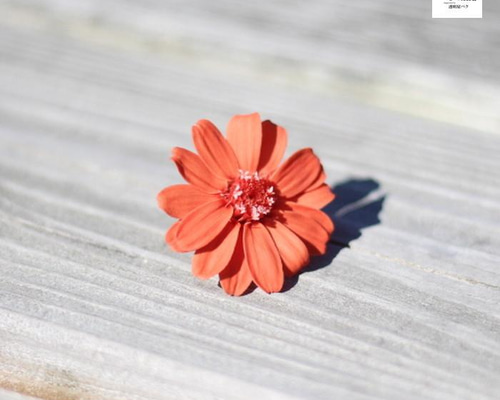 a66ba1debcd8120cfe4a5852999f61