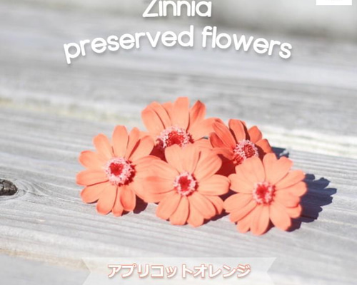 dc3844b62f76df6c9f3d35352ffdf5