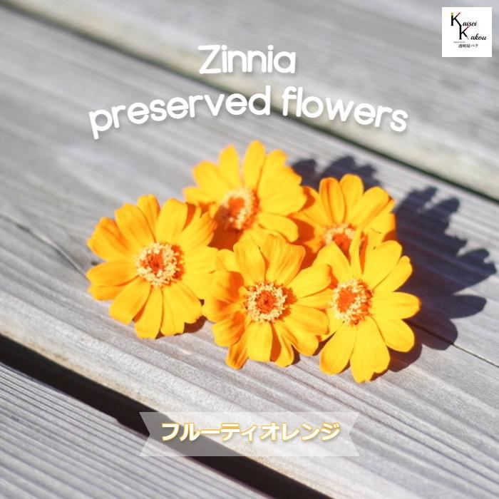 beach　ドライフラワー花材 calm