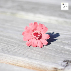 大地農園！ドライフラワー「ジニア マカロンピンク 1輪」プリザ