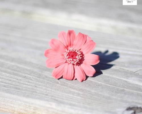 5efb4d36e3f0f75e26b0dc1340d239